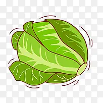 包心菜-空若网 包心菜-空若网