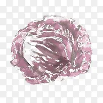 ÊÖ»æÁ«»¨°×-¿ÕÈôÍø ÊÖ»æÁ«»¨°×-¿ÕÈôÍø