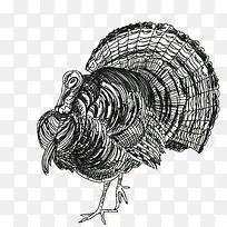 �ж��ڻ�-������