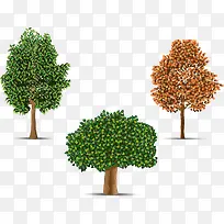 三棵逼真的大树-空若网 三棵逼真的大树-空若网