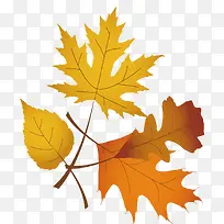 一堆的枫叶-空若网 一堆的枫叶-空若网