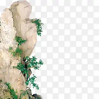 石缝小树-空若网 石缝小树-空若网