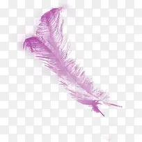 彩色羽毛-空若网 彩色羽毛-空若网