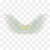 Ψ����ȸ��ë���-������