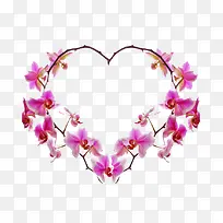 ��������֯�İ���-������