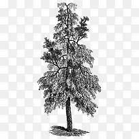 �ֻ����-������