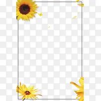 向日葵花朵花瓣边框-空若网 向日葵花朵花瓣边框-空若网