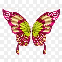 �����ĺ���-������