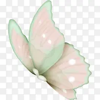 透明的蝴蝶-空若网 透明的蝴蝶-空若网