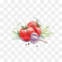 手绘蔬菜-空若网 手绘蔬菜-空若网