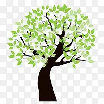 �������Ƶ���֦-������