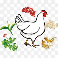 卡通草药配土鸡设计-空若网 卡通草药配土鸡设计-空若网