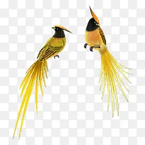 ���ز�-������