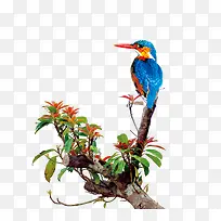 卡通树枝喜鹊-空若网 卡通树枝喜鹊-空若网