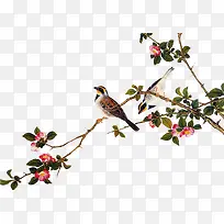 ��֦�ϵ�С��-������