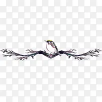 手绘水彩树枝上的动物-空若网 手绘水彩树枝上的动物-空若网