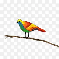 手绘树枝上的小鸟-空若网 手绘树枝上的小鸟-空若网