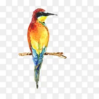 �ʻ���֦�ϵ��ȴ���ʸ��ͼ-������