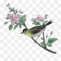 清新手绘花素材2-空若网 清新手绘花素材2-空若网