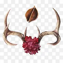 枯萎树枝上的花朵-空若网 枯萎树枝上的花朵-空若网