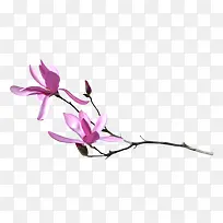 ��ɫ��������-������