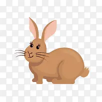 ��ͨ����PNG����-������