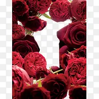 玫瑰花背景-空若网 玫瑰花背景-空若网