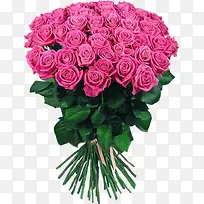 һ��õ��-������