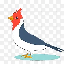 卡通野鸡PNG下载-空若网 卡通野鸡PNG下载-空若网