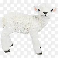 可爱小绵羊-空若网 可爱小绵羊-空若网