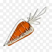 手绘胡萝卜矢量素材-空若网 手绘胡萝卜矢量素材-空若网