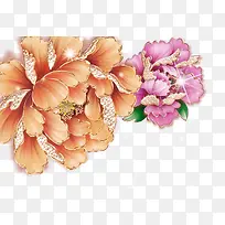 牡丹素材-空若网 牡丹素材-空若网