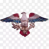 猛禽喙翼鹰胸针-空若网 猛禽喙翼鹰胸针-空若网