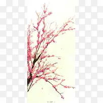 手绘粉色桃花古风插画-空若网 手绘粉色桃花古风插画-空若网