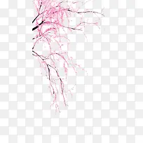 ÌÒ»¨Ê÷Ö¦µÍ´¹×°ÊÎͼ°¸-¿ÕÈôÍø ÌÒ»¨Ê÷Ö¦µÍ´¹×°ÊÎͼ°¸-¿ÕÈôÍø