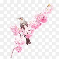 小鸟在桃花树枝上装饰图案-空若网 小鸟在桃花树枝上装饰图案-空若网
