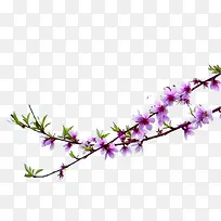 ʵ�ﴺ���һ���֦-������