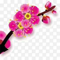 满树枝的桃花-空若网 满树枝的桃花-空若网