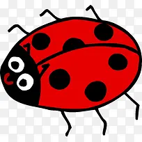 七星瓢虫-空若网 七星瓢虫-空若网