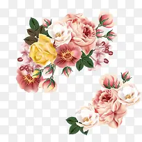 手绘鲜花下载-空若网 手绘鲜花下载-空若网