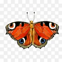 ��ͨ��ɫ�ĺ����������-������