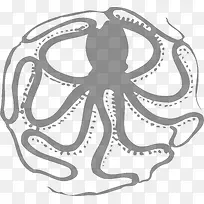 �����ʾ�������-������