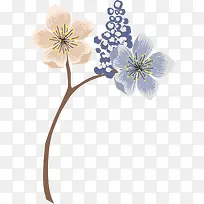 多彩线条花枝-空若网 多彩线条花枝-空若网