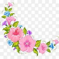 多彩鲜花-空若网 多彩鲜花-空若网