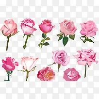 花朵多彩-空若网 花朵多彩-空若网