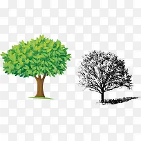 ������Ҷ���ٹ�����Ҷ-������