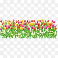 唯美多彩花朵-空若网 唯美多彩花朵-空若网