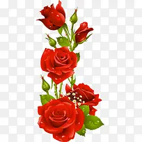 ���˽�-������