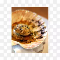 Éȱ´Ê³Æ×²Ë¿¾º£ÏÊ-·ïβÓã-¿ÕÈôÍø Éȱ´Ê³Æ×²Ë¿¾º£ÏÊ-·ïβÓã-¿ÕÈôÍø