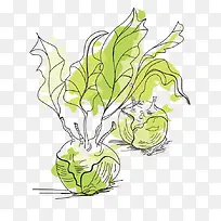 手绘蔬菜-空若网 手绘蔬菜-空若网